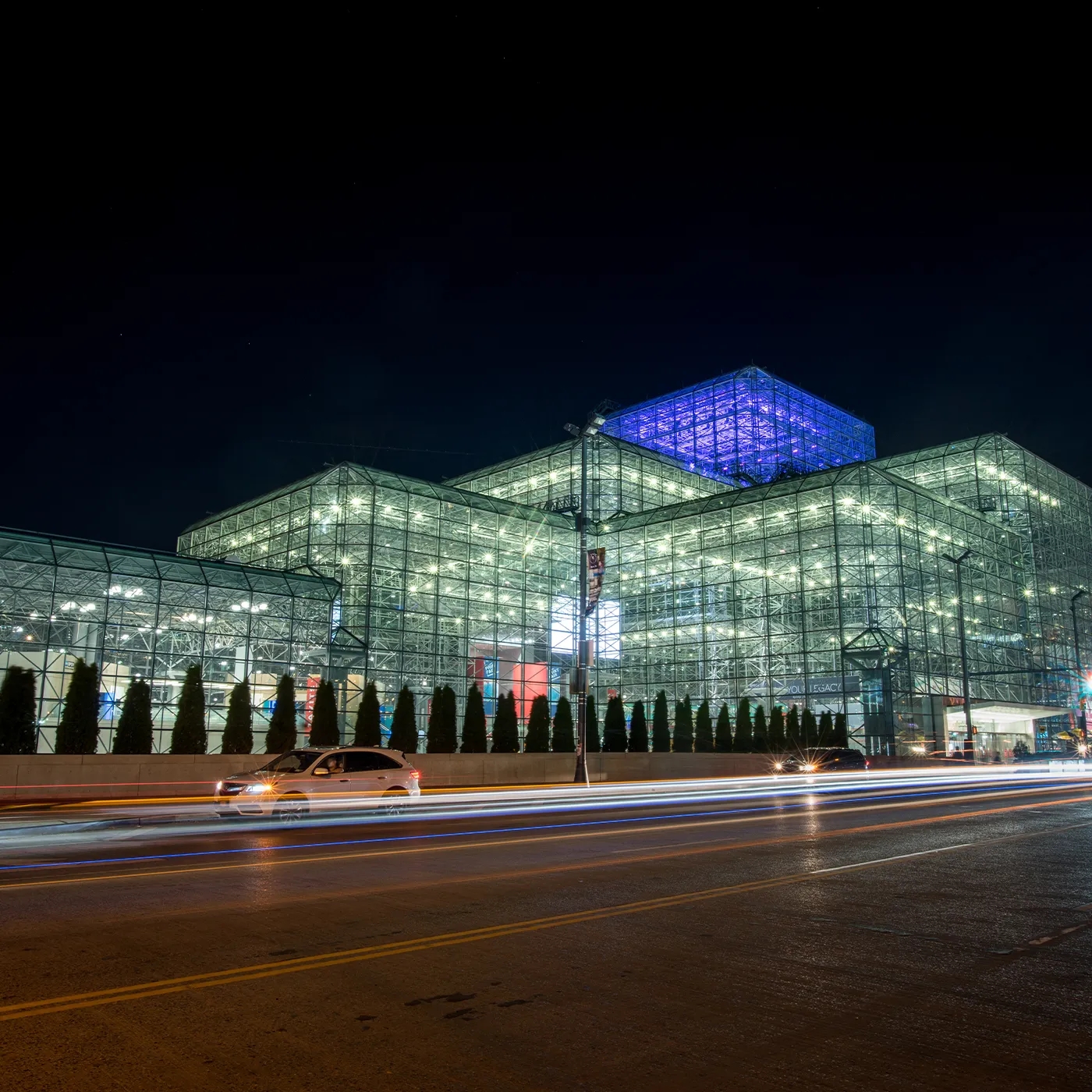javitz_04.webp
