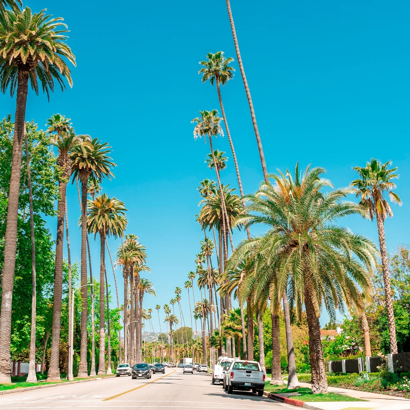 brentwood_poster.webp