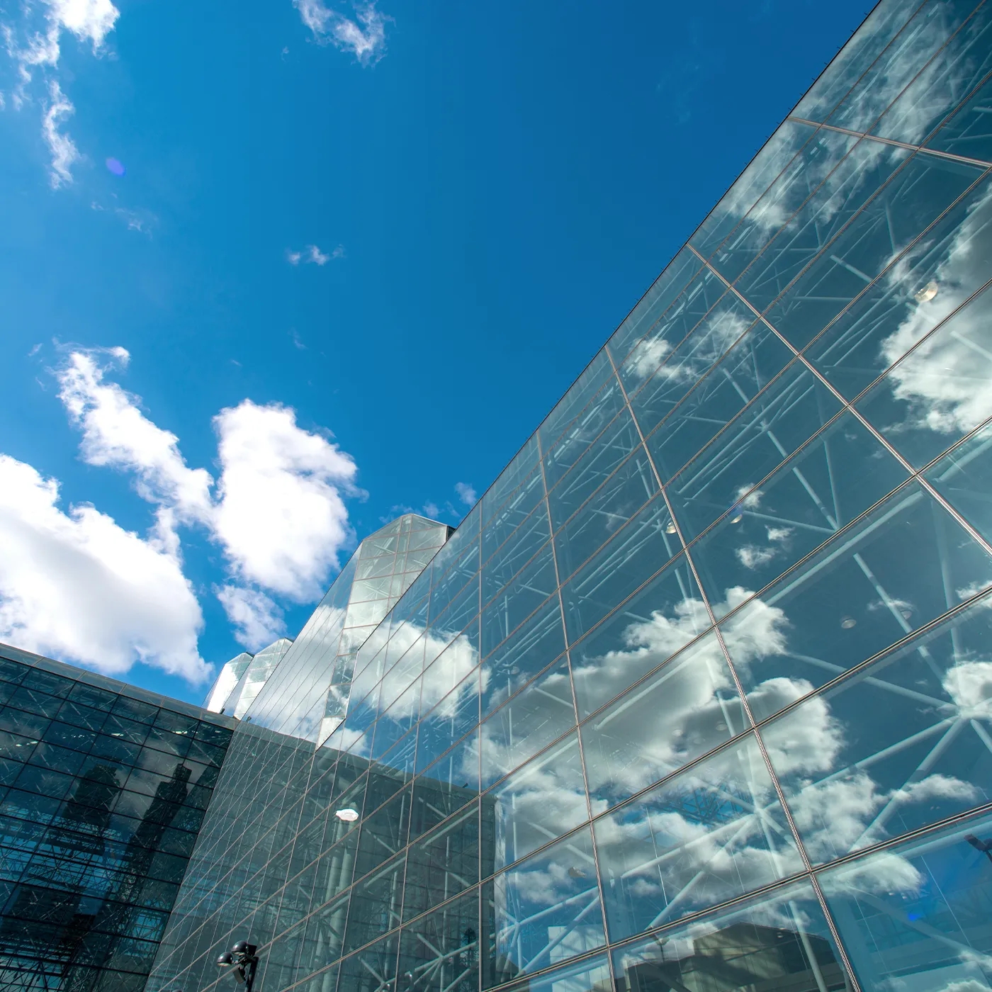 javitz_01.webp