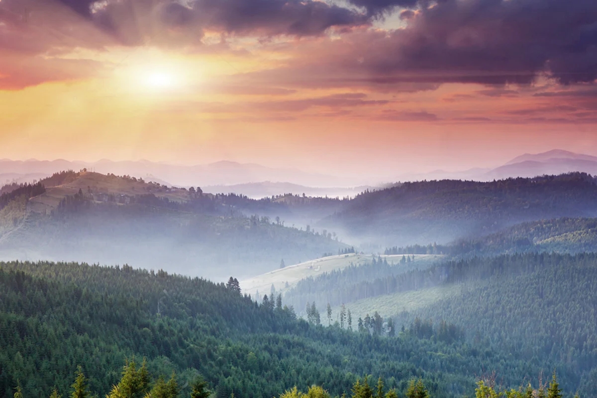 sustainability-pledge-destaque.webp