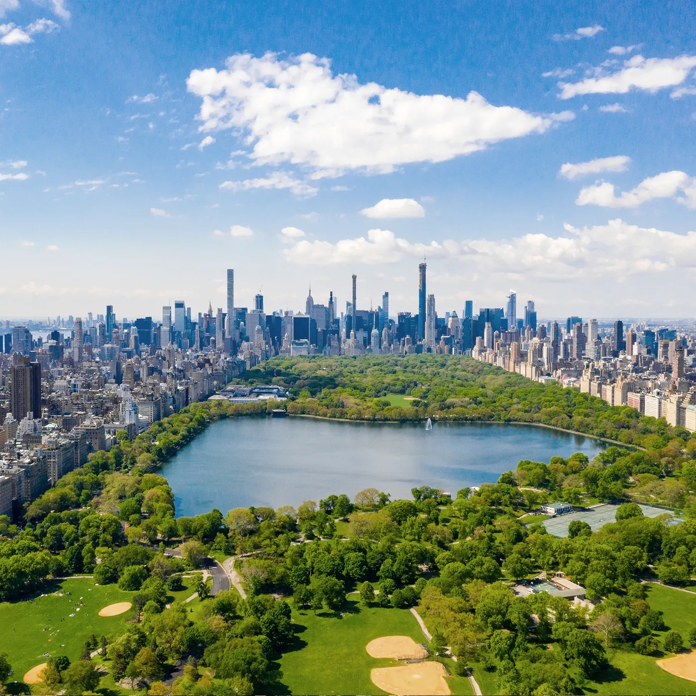 ny_04.webp