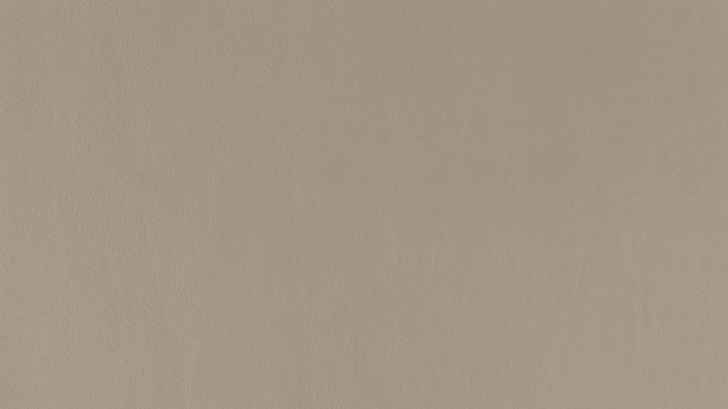 LT0155.png