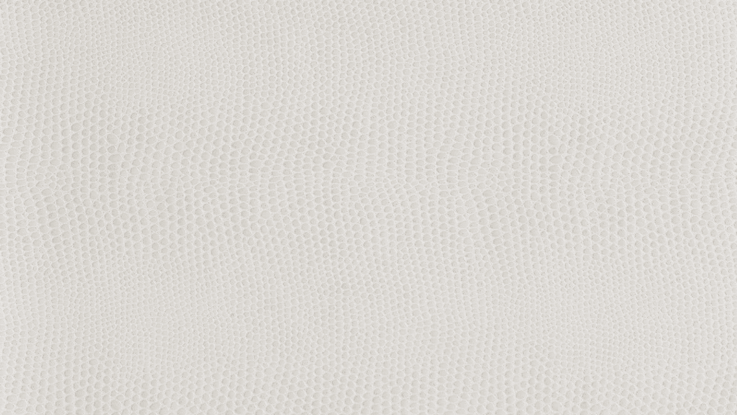 LT0272.png