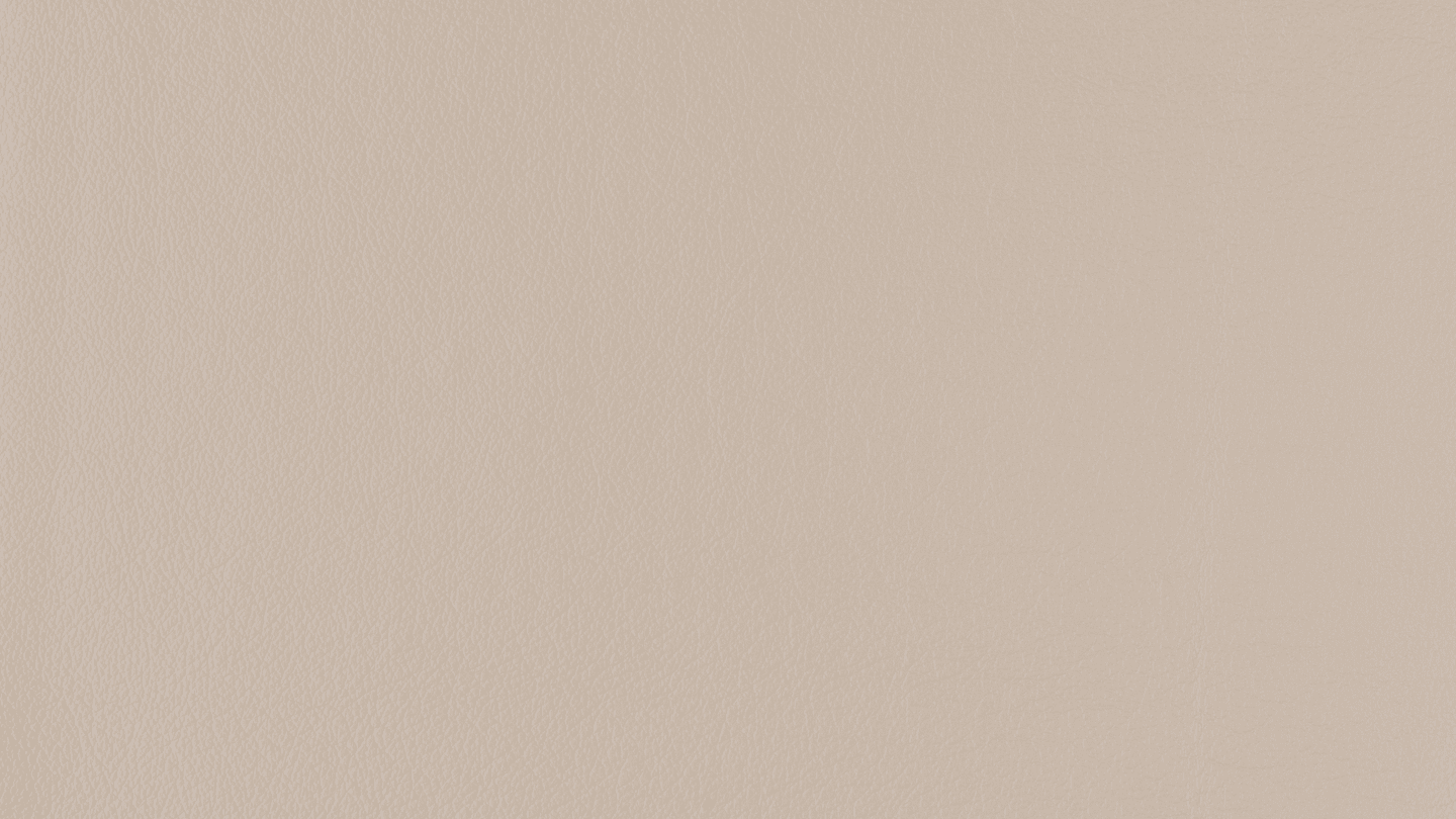 LT0291.png