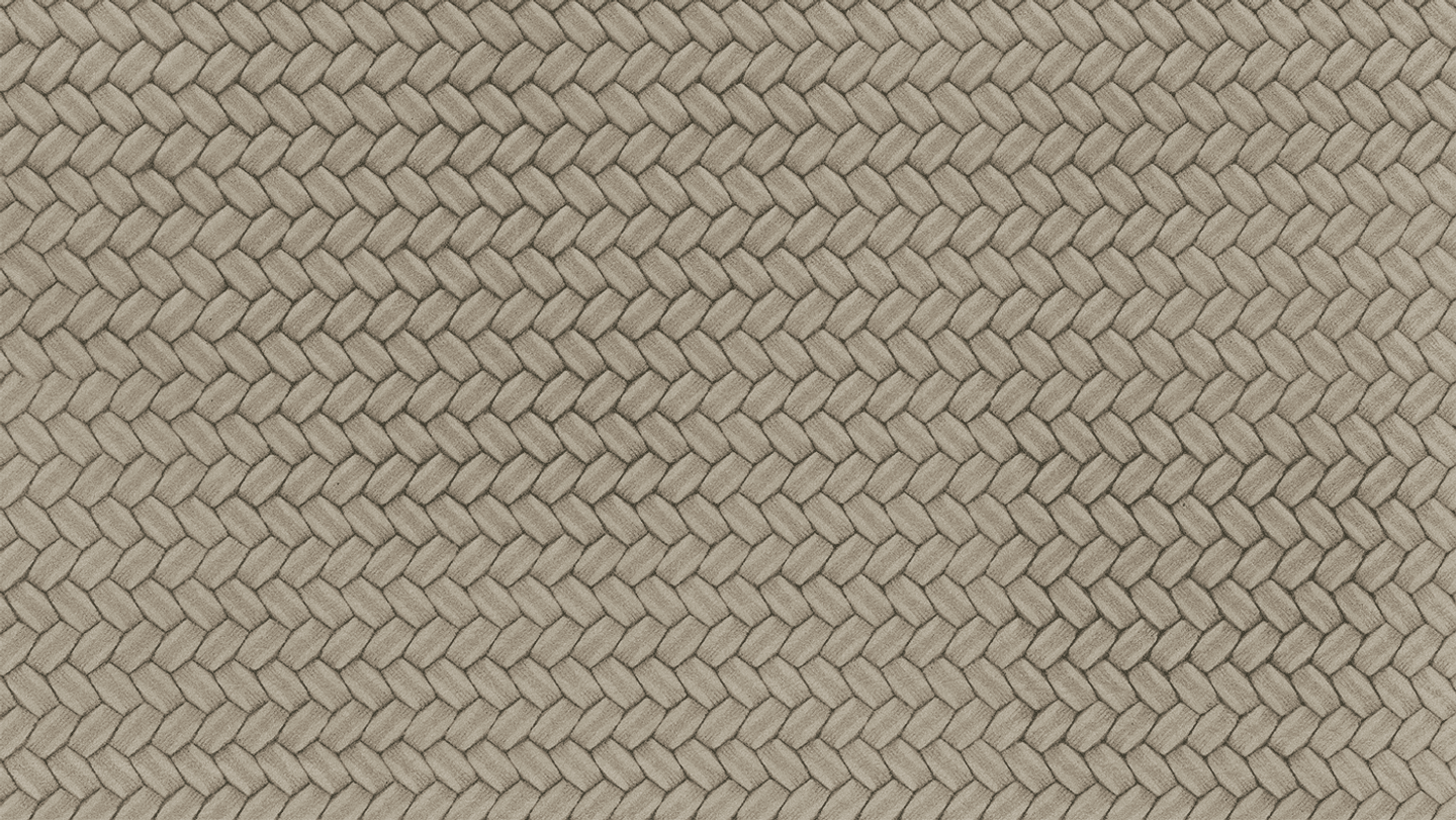 LT0299.png