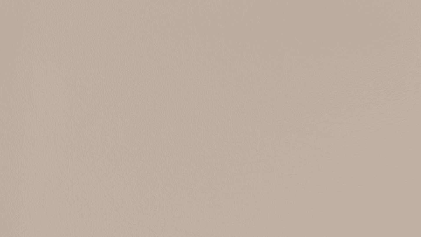LT0319.png