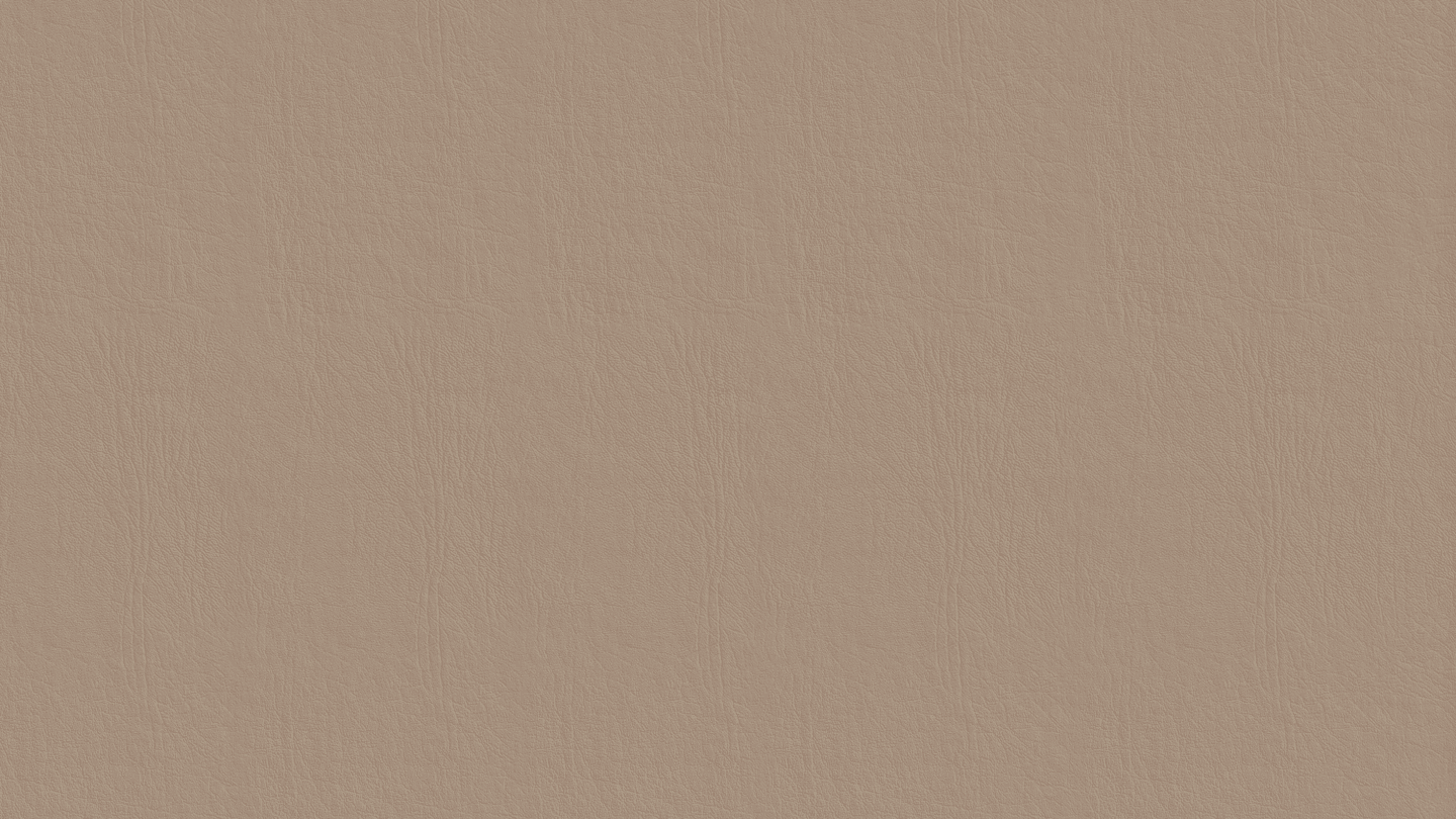 LT0341.png