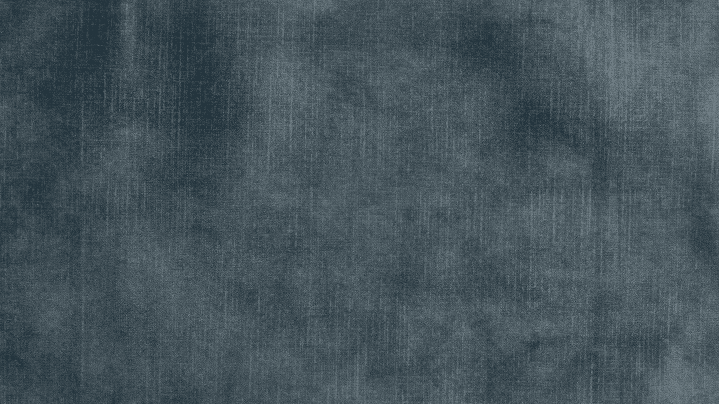 VL0769.png