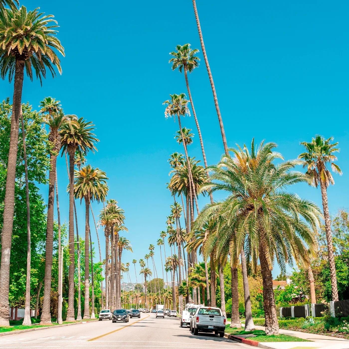 brentwood_poster.webp